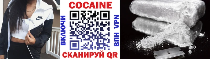 MEGA маркетплейс  хочу   Инсар  COCAIN FishScale 