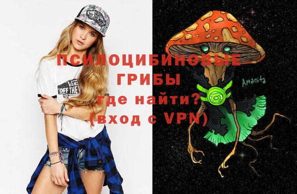 apvp Волоколамск
